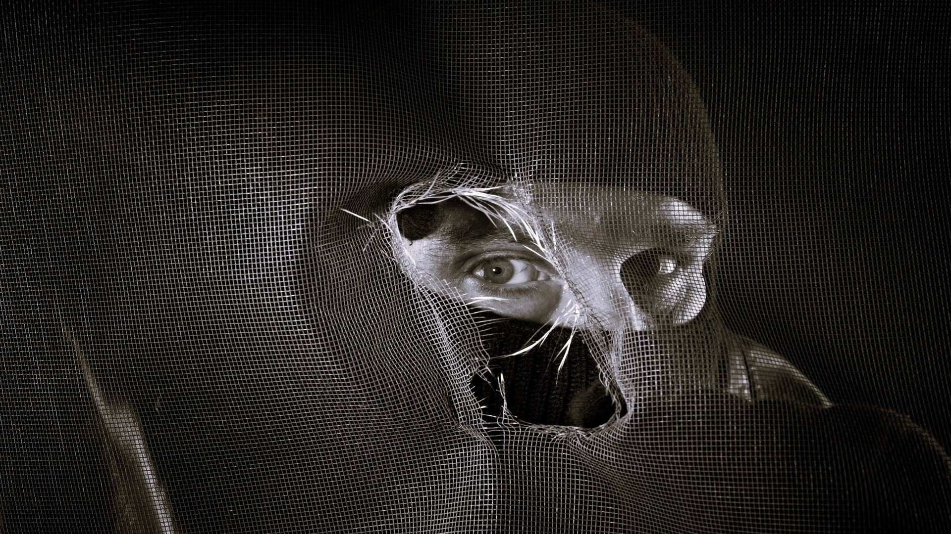 Mistrust Distrust 3 LinkedIn Ready